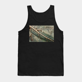 Organic Decay Tank Top